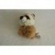 DOUDOU RATON LAVEUR PELUCHE HISTOIRE D'OURS