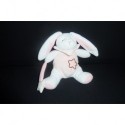 DOUDOU LAPIN LUMINESCENT BABY'NAT
