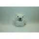 DOUDOU OURS PELUCHE HEMA