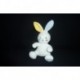 DOUDOU LAPIN PELUCHE DODIE